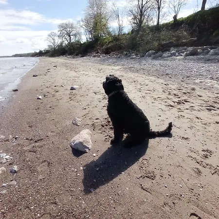 Ebsen Hh Links Appartement Steinberg (Schleswig-Holstein)